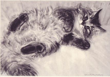 Artwork Title: Playful Kitten, Illustration from Cats & Kittens: A Portfolio