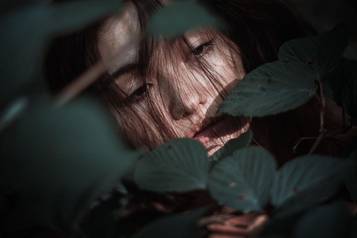 Artwork Title: undefined