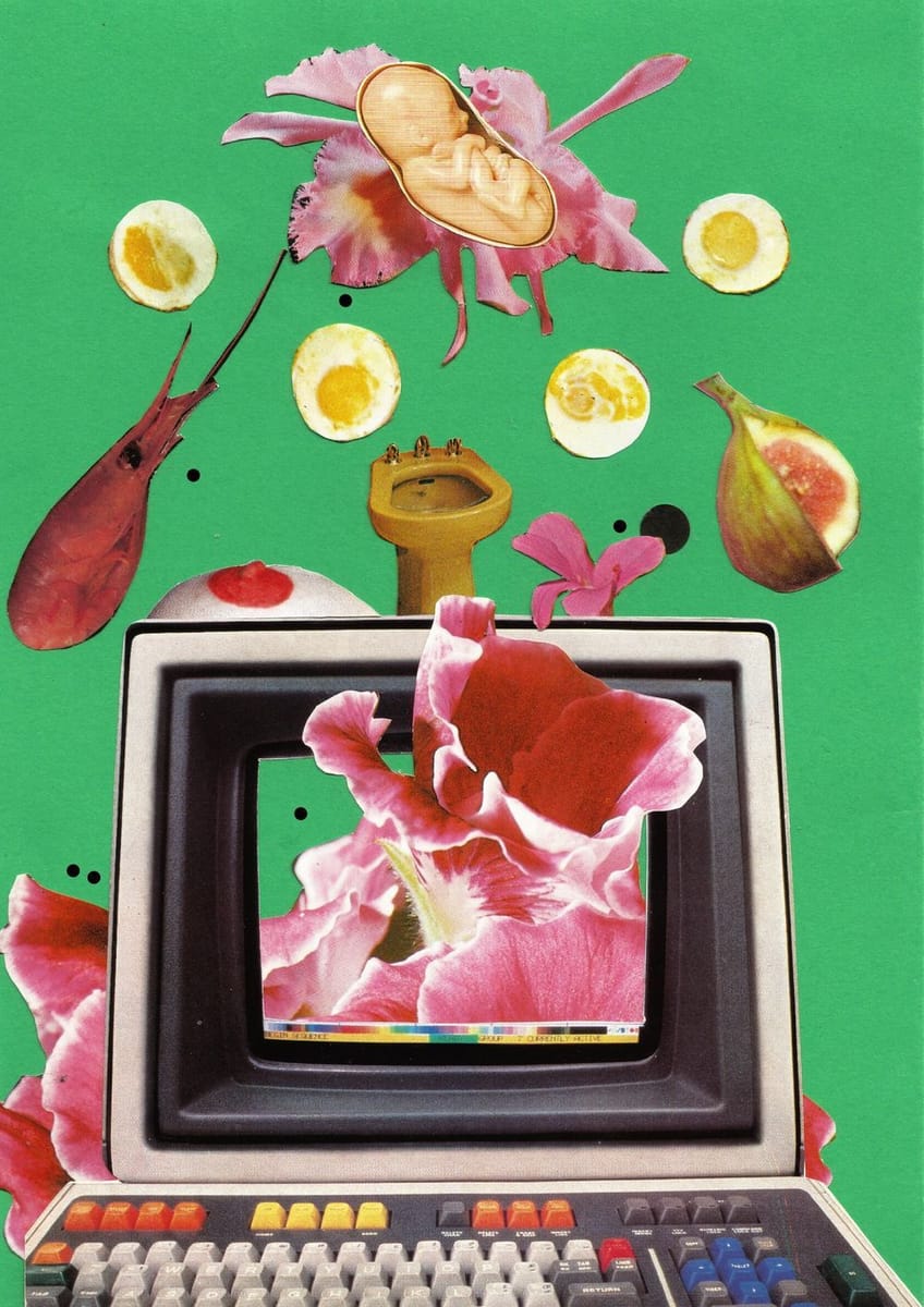 Artwork Title: undefined