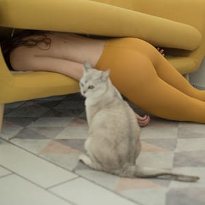 Artwork Title: Untitled