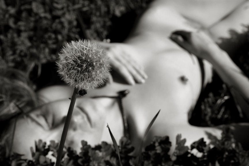 Artwork Title: undefined