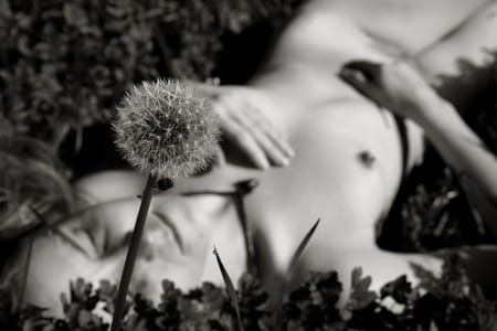 Artwork Title: Untitled