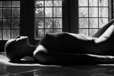 Artwork Title: Untitled