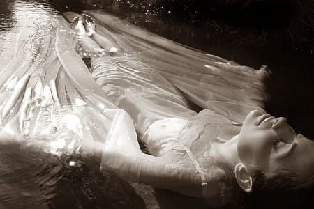 Artwork Title: Untitled