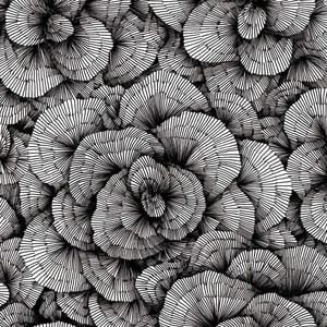Artwork Title: Untitled