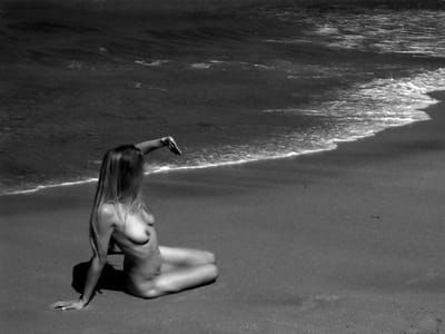 Artwork Title: Untitled
