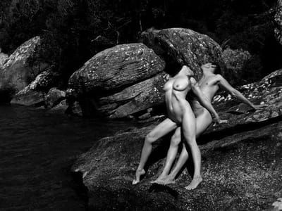 Artwork Title: Untitled