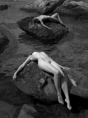 Artwork Title: Untitled