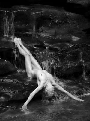 Artwork Title: Untitled