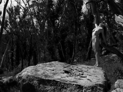 Artwork Title: Untitled