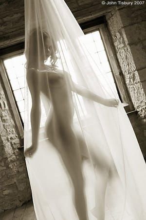 Artwork Title: Untitled