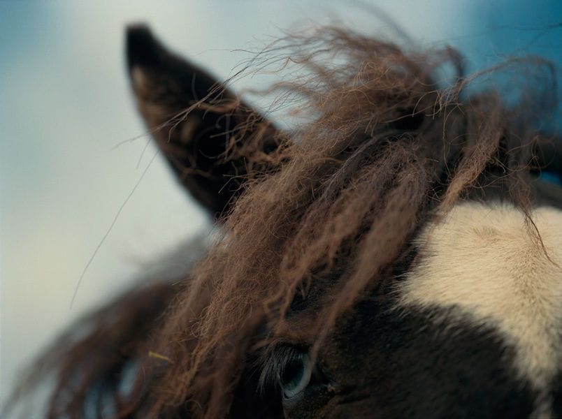 Artwork Title: undefined