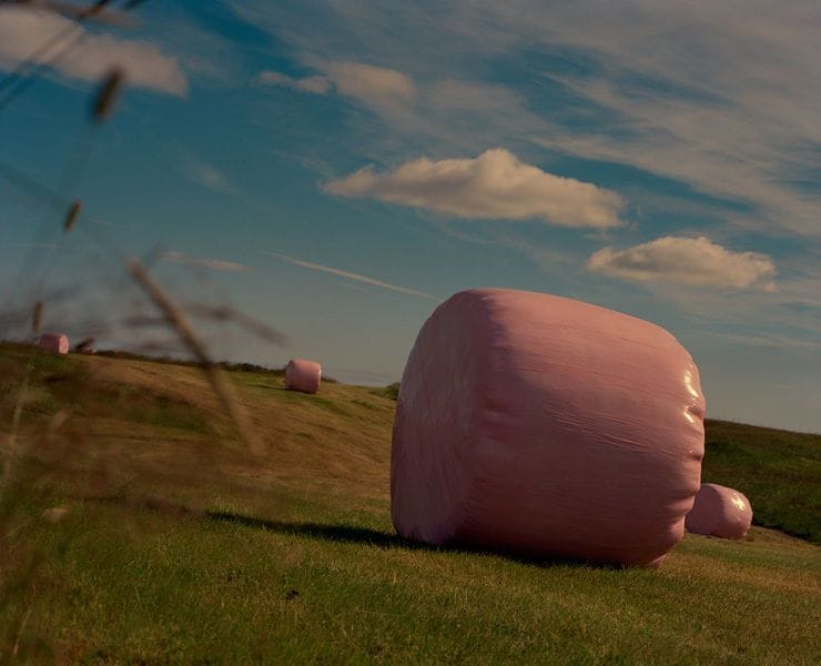 Artwork Title: undefined