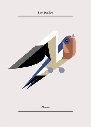 Artwork Title: Barn Swallow