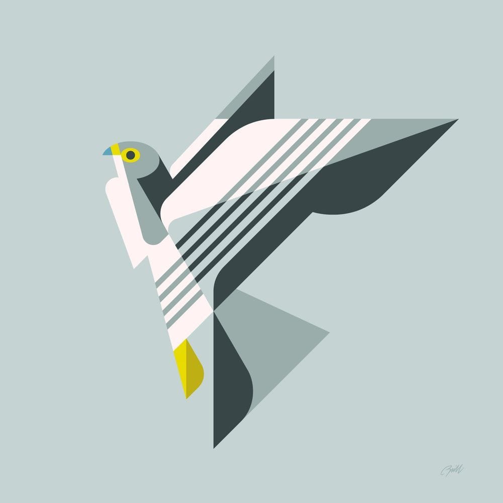 Artwork Title: Peregrine Falcon