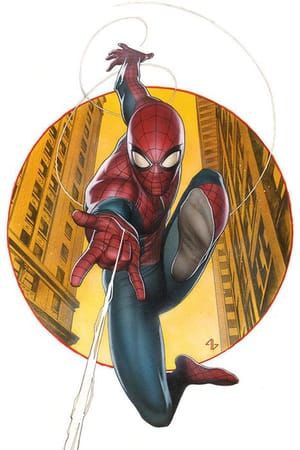 Artwork Title: Amazing Spider-Man #1 Variant