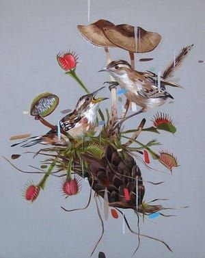 Artwork Title: Wrens, Traps, And Fungi