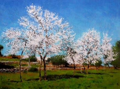 Artwork Title: Almond trees, Mallorca