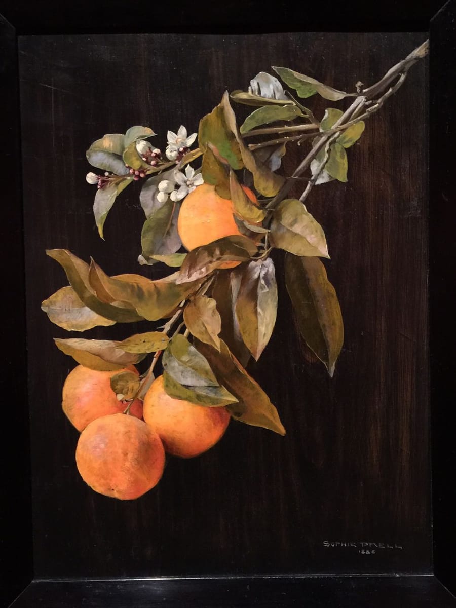 Artwork Title: Orange Tree Branch