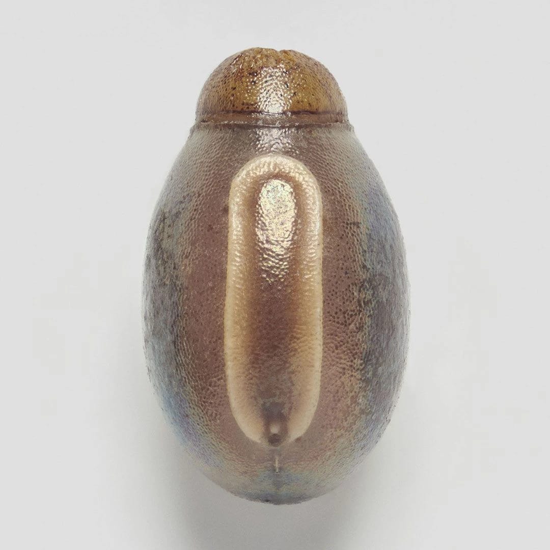 Artwork Title: Phasmid Eggs #13