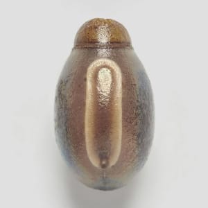 Artwork Title: Phasmid Eggs #13