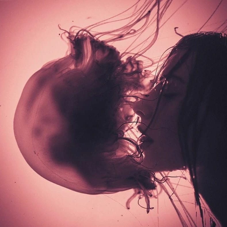 Artwork Title: undefined