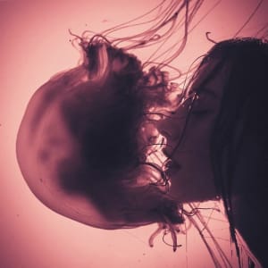 Artwork Title: Untitled