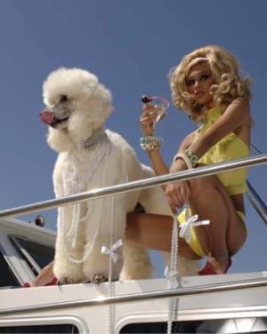 Artwork Title: Untitled