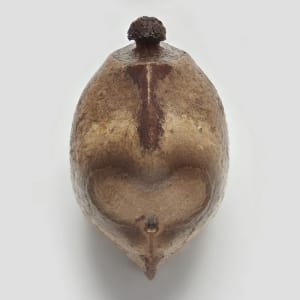 Artwork Title: Phasmid Eggs #2