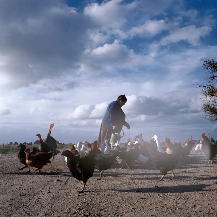 Artwork Title: undefined