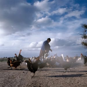 Artwork Title: Untitled