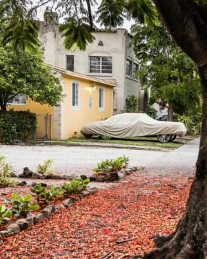 Artwork Title: Morningside