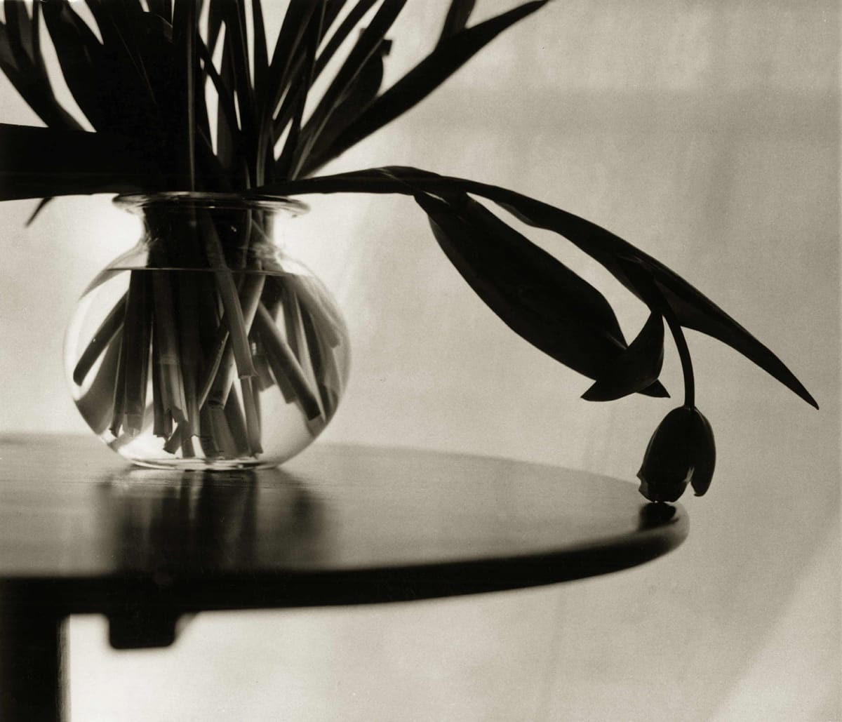 Artwork Title: Tulips with a mind of their own