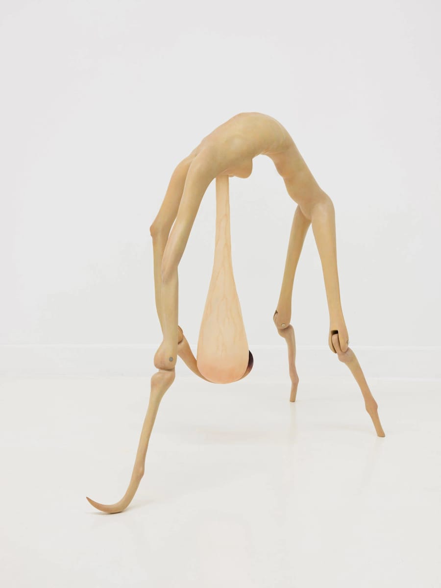 Artwork Title: Hesitation