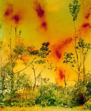 Artwork Title: Icestorm