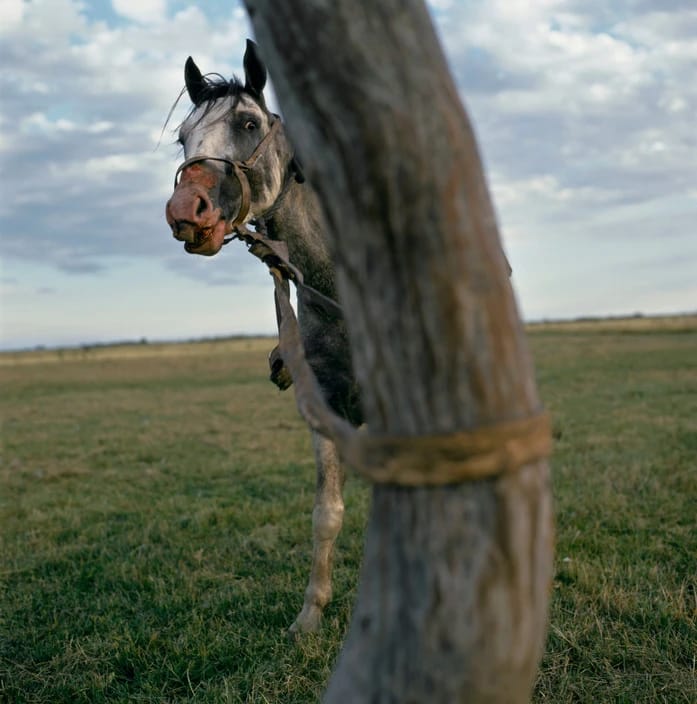 Artwork Title: undefined