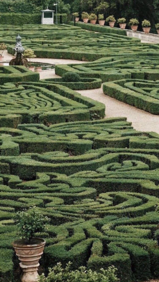 Artwork Title: Garden Maze