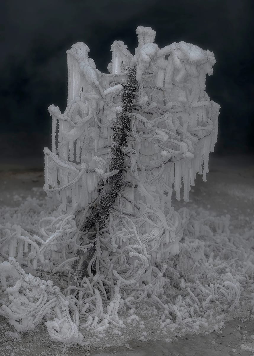 Artwork Title: undefined