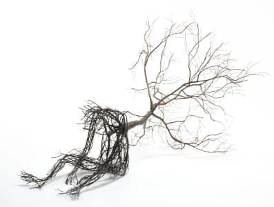 Artwork Title: Untitled