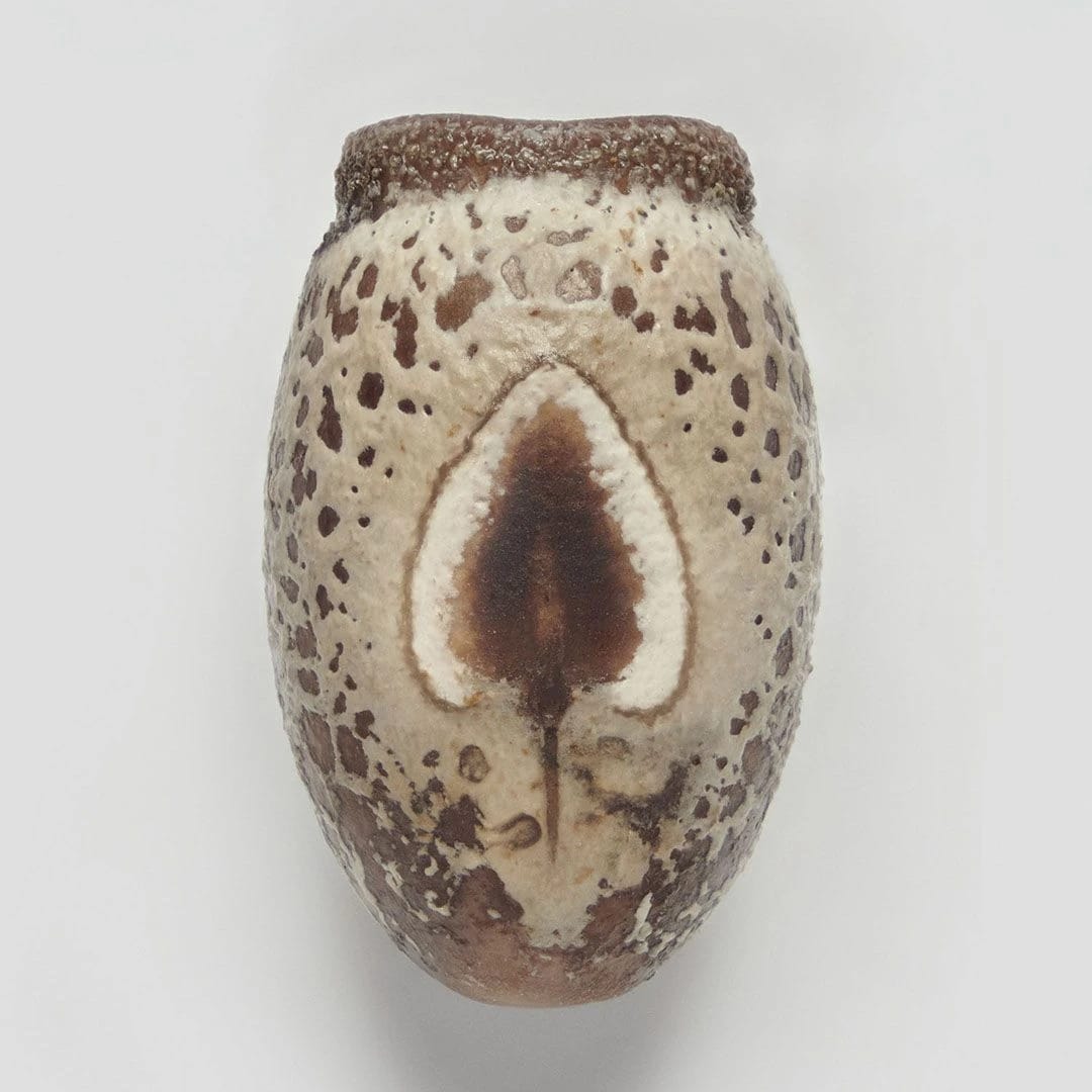 Artwork Title: Phasmid Eggs #8