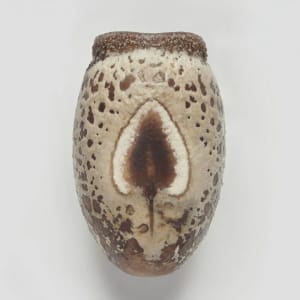 Artwork Title: Phasmid Eggs #8