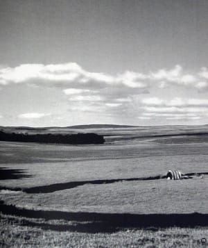 Artwork Title: The Lost Tribes of Tierra del Fuego