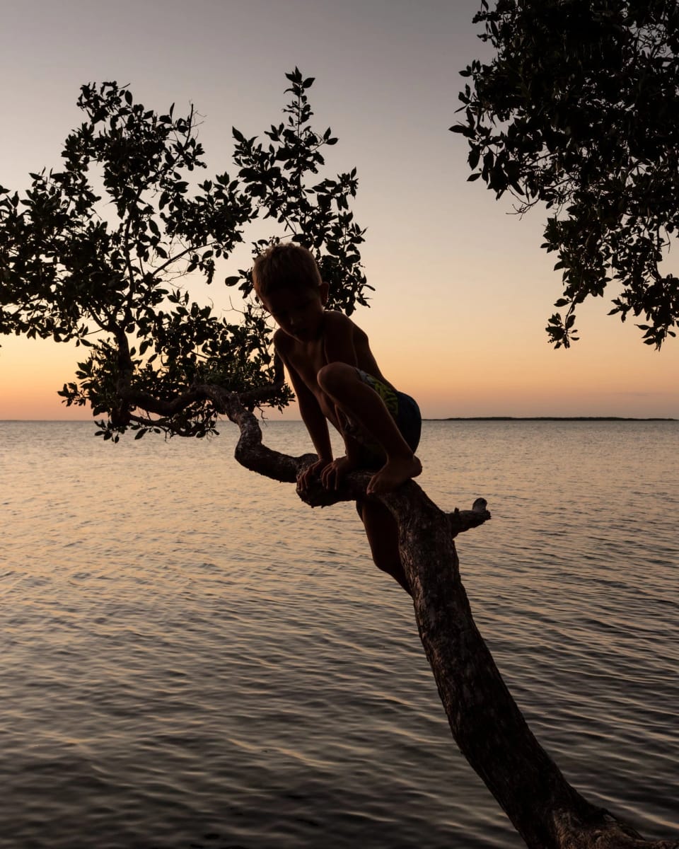 Artwork Title: Key Largo