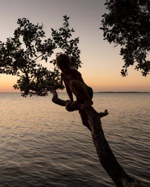 Artwork Title: Key Largo