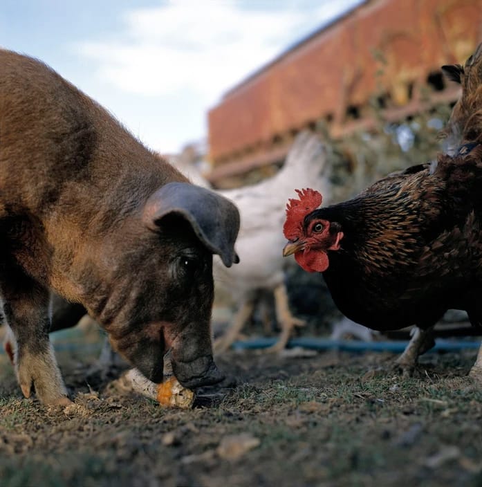 Artwork Title: undefined