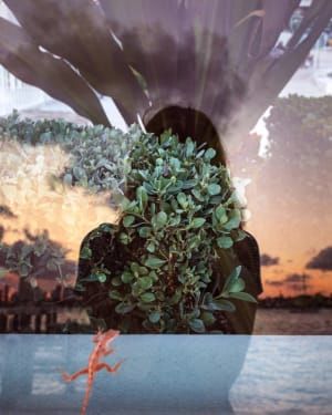 Artwork Title: Biscayne Bay