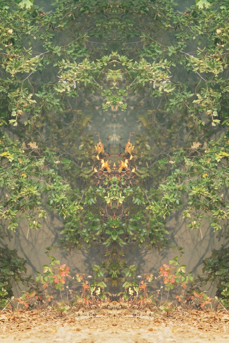 Artwork Title: Fire with Fire