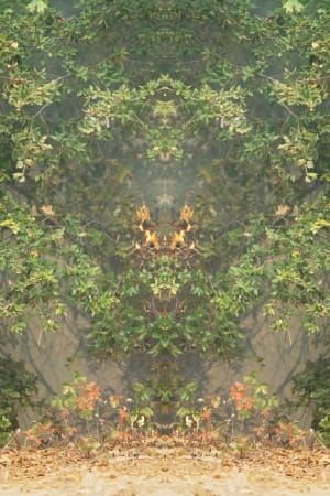 Artwork Title: Fire with Fire