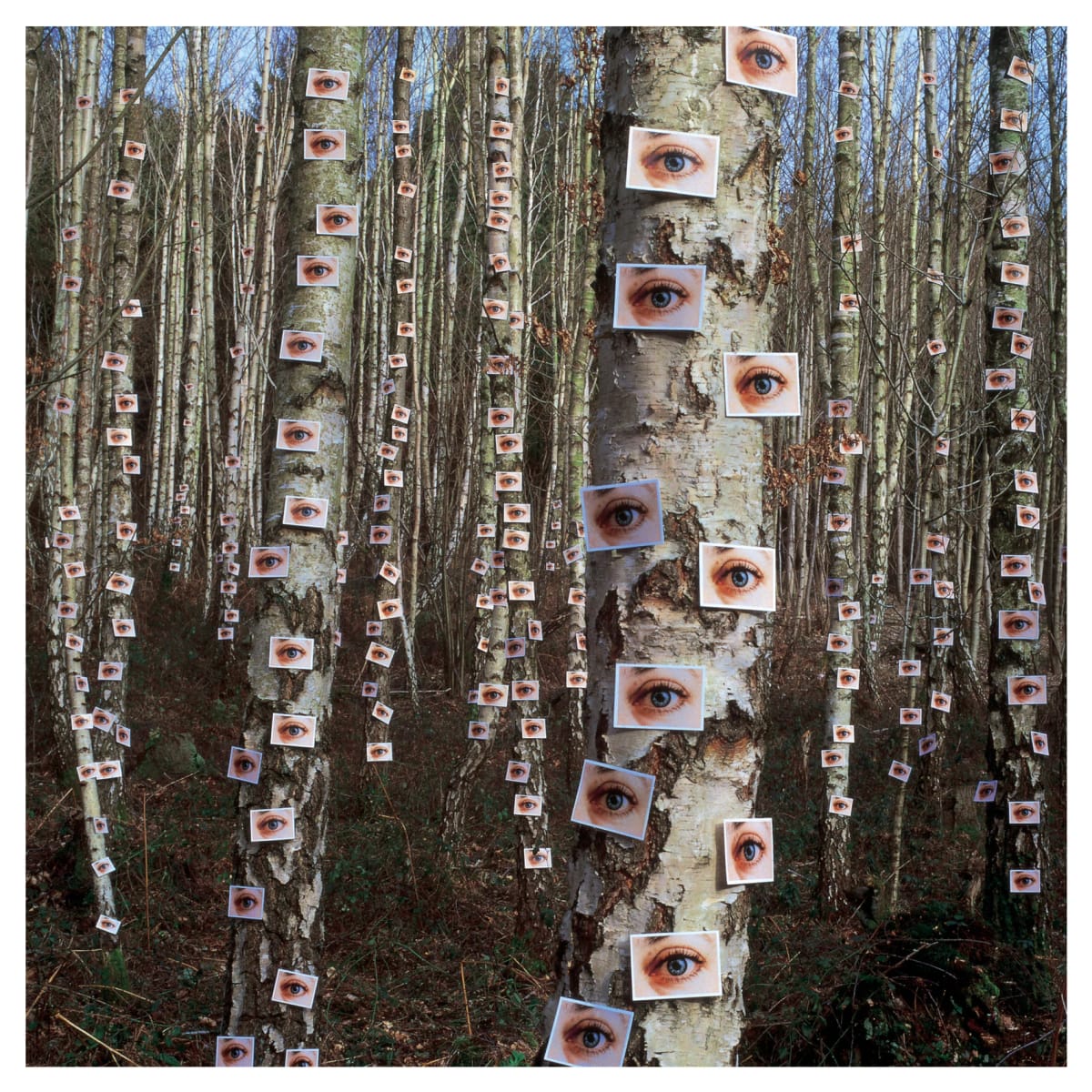 Artwork Title: undefined