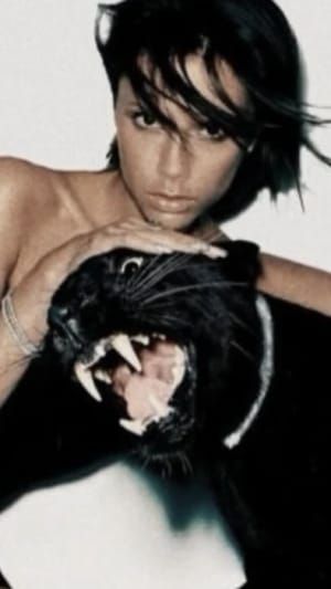 Artwork Title: Untitled